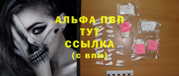 скорость Ладушкин