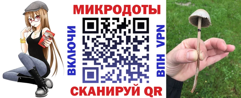 Купить  Мураши  Галлюциногенные грибы ЛСД 